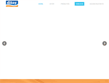 Tablet Screenshot of ditoy.com.br